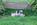A vendre chiot carlin LOF sable à masque noir chez Dreamlander en Sarthe