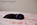 chiot carlin noir disponible chez Dreamlander en Sarthe