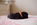 chiot carlin noir disponible chez Dreamlander en Sarthe